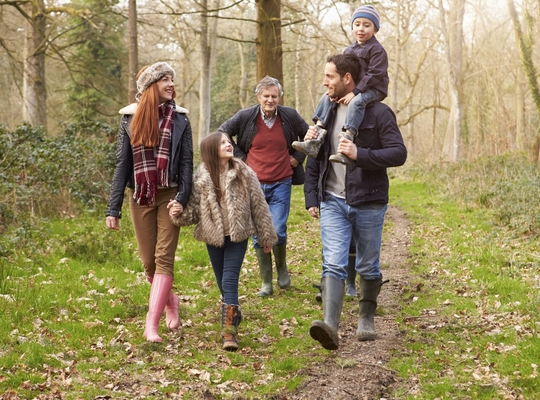 Bos - wandelen-toerisme Bos - wandelen-toerisme